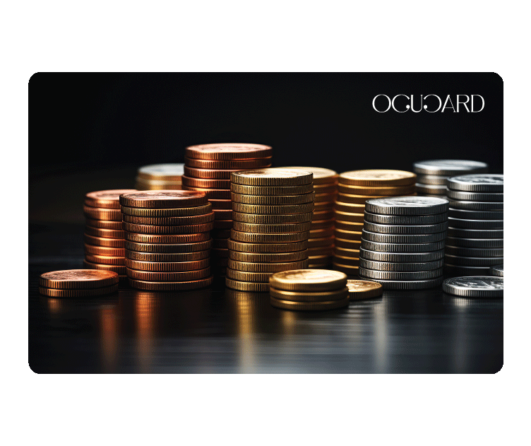 Premium Financial Cards
