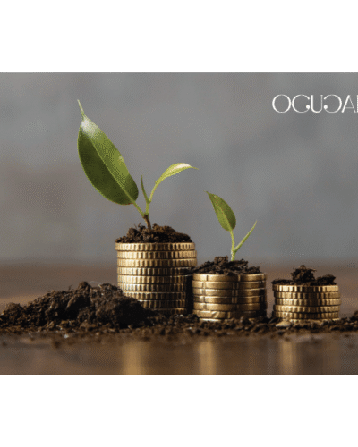 Premium Financial Cards