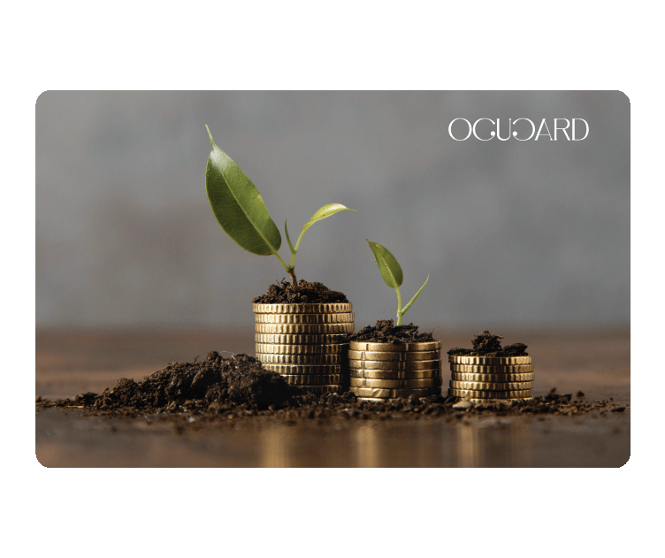 Premium Financial Cards