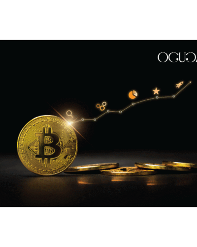 Premium Financial Cards